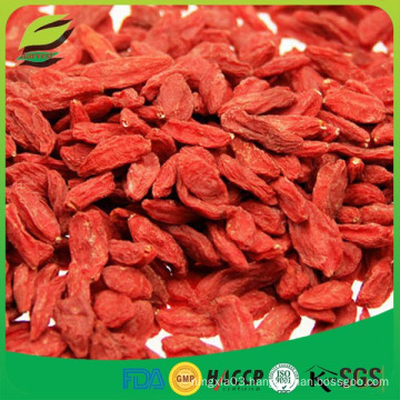 import goji berry seed from China